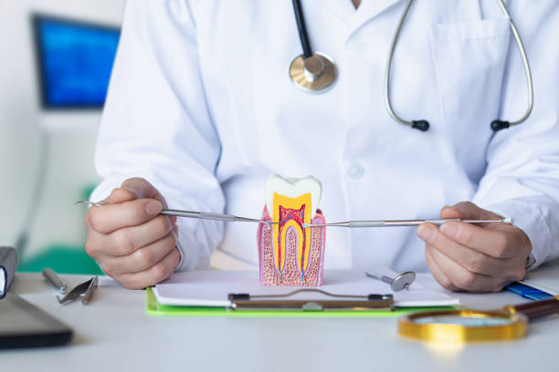 , TN Emergency Dental Service Company